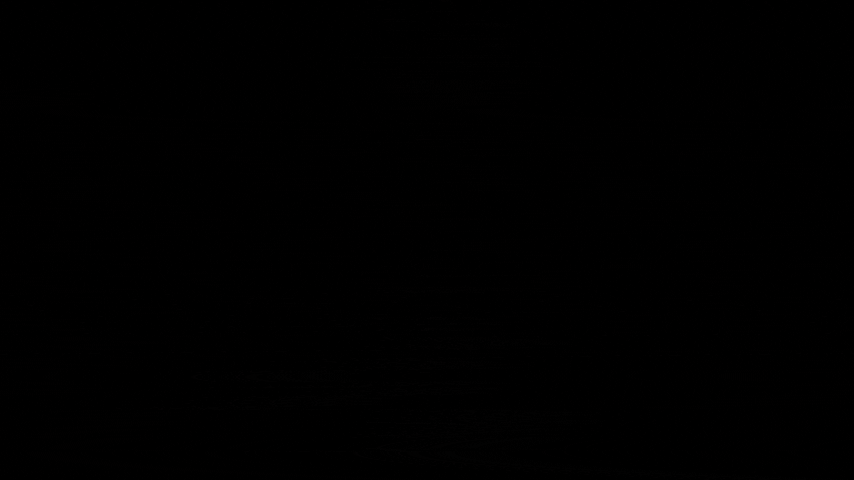 ARGENTINE II - SOV II